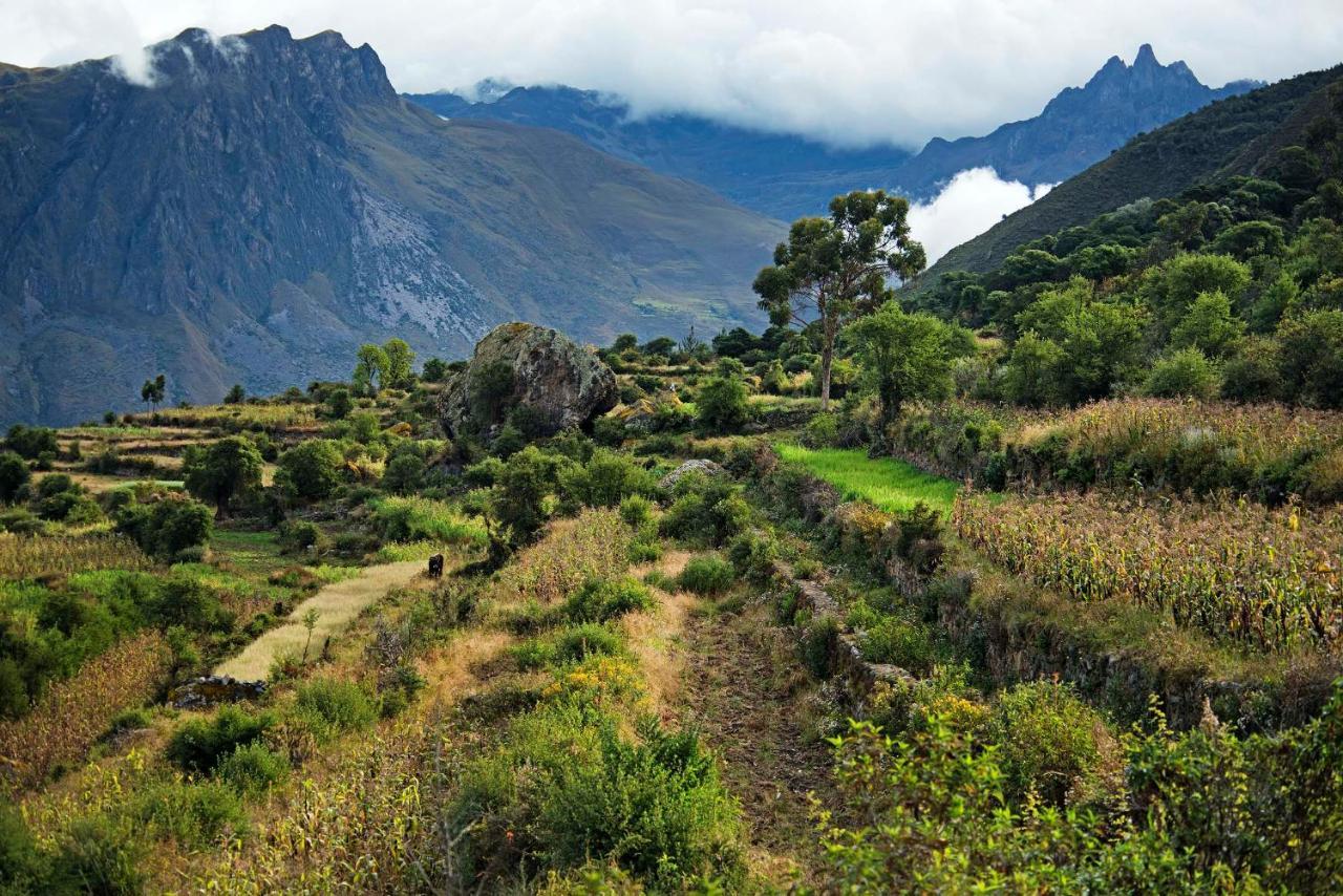 Las Qolqas Ecoresort Ollantaytambo Εξωτερικό φωτογραφία